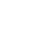 FIFA世界杯